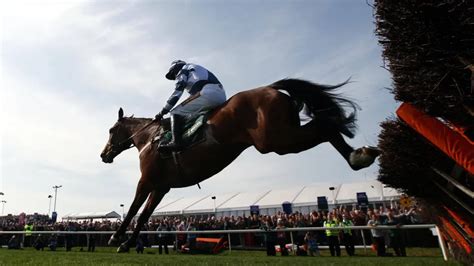 racing tips aintree|Iba pa.